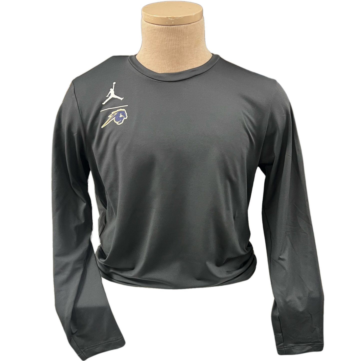 Men's Jumpman Performance LS Shirt, grey