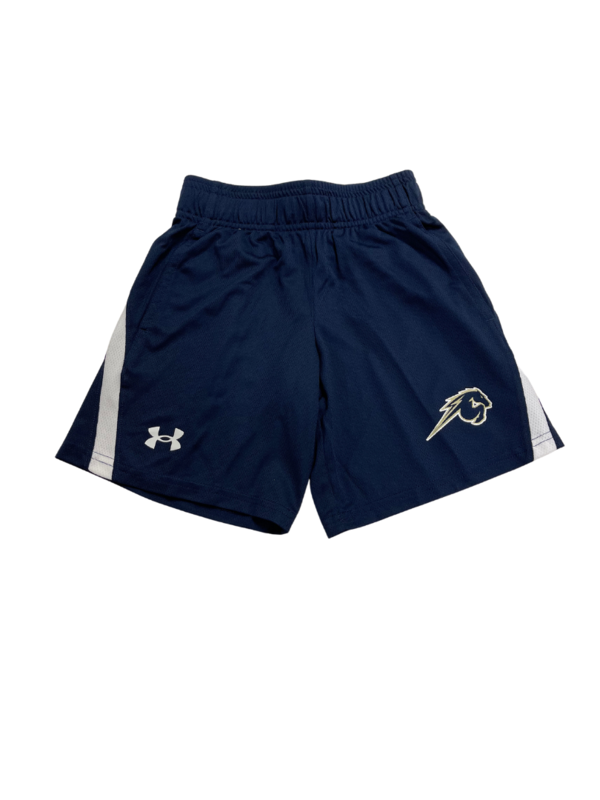 *Youth Gameday Tech Mesh Short Charger Head