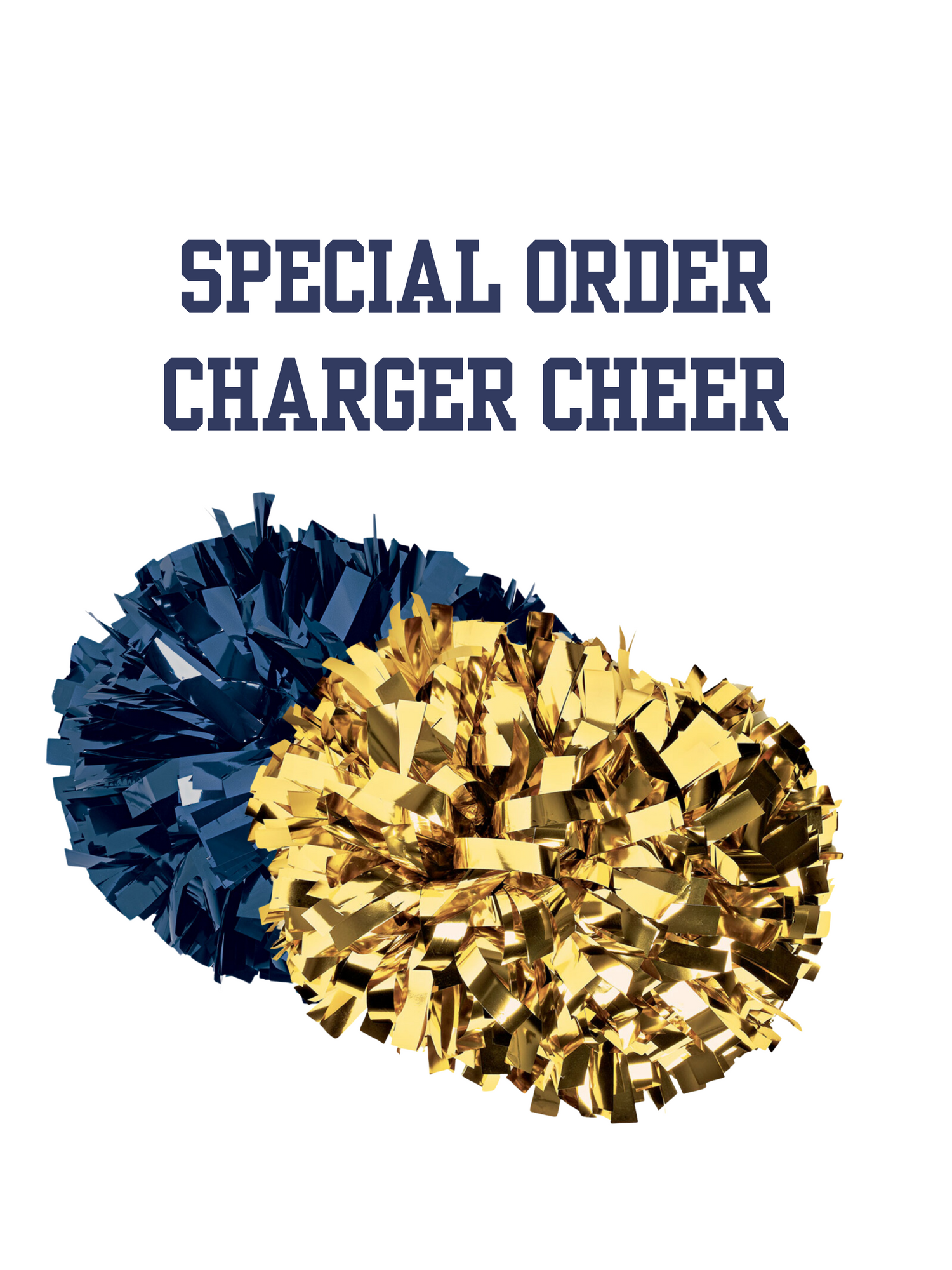 Special Order Cheer