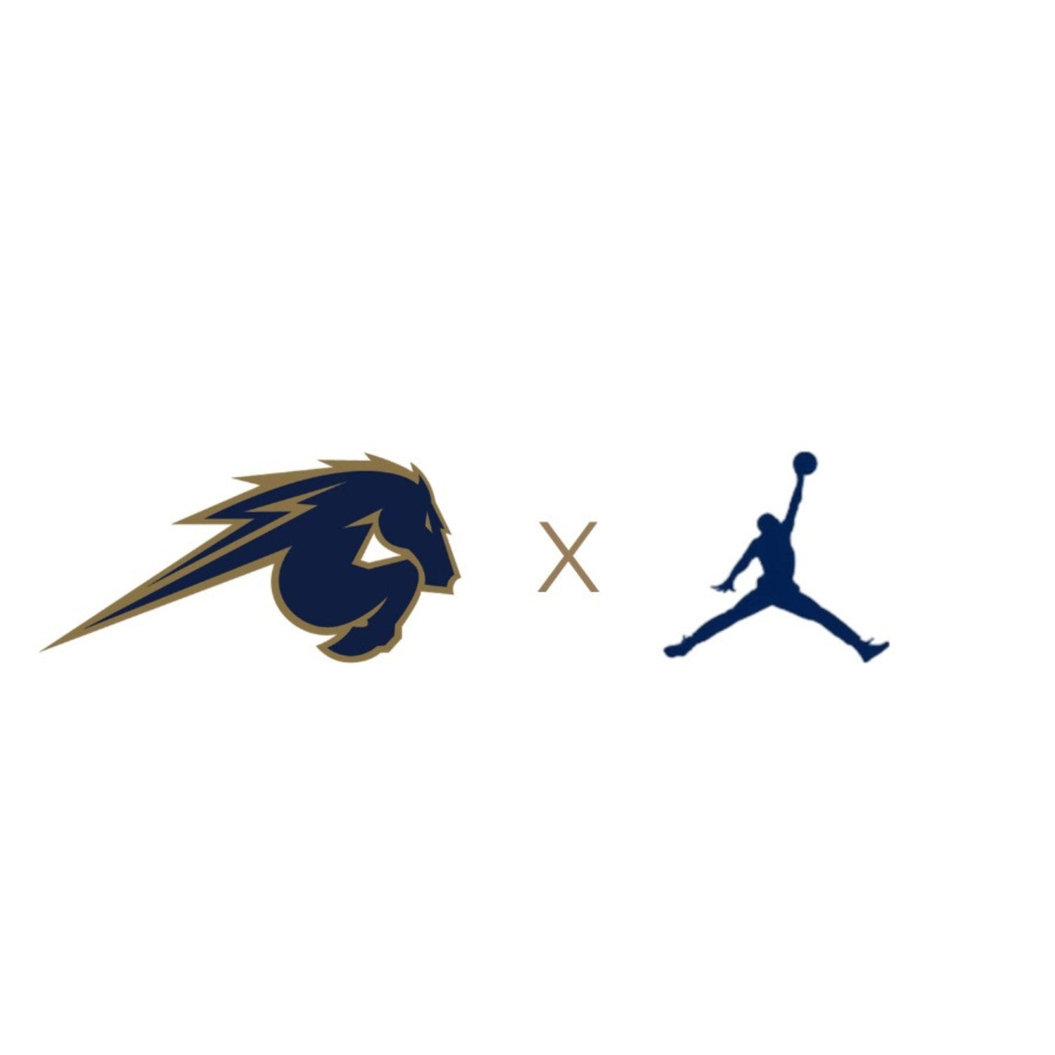 Jordan Jumpman Merch