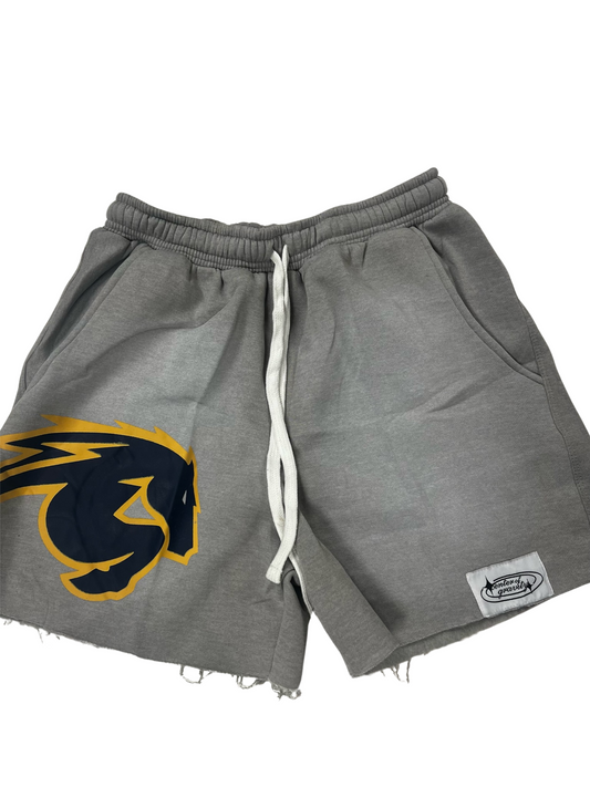 Men's shorts, Center of Gravity by Mecka, grey with Charger Horse