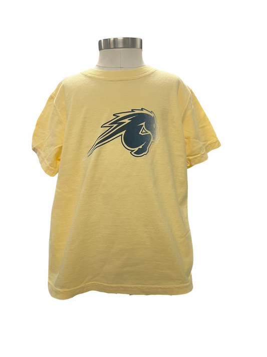 Youth T-Shirt, yellow, navy distressed horse