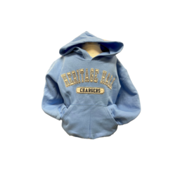 * Youth Champion PO Hoody Sherpa HH Patch